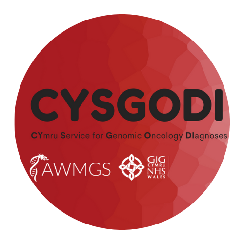 CYSGODI Logo